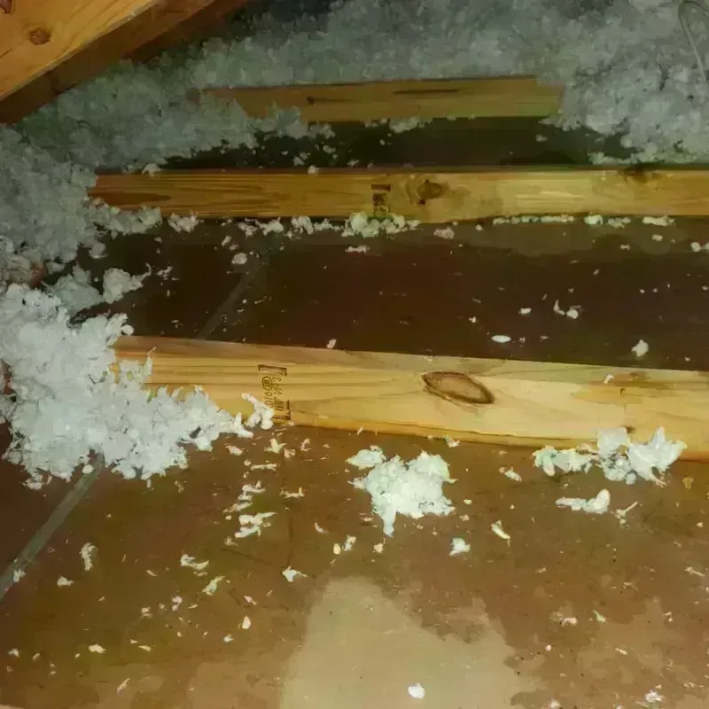 Attic Water Damage in Yuba City, CA