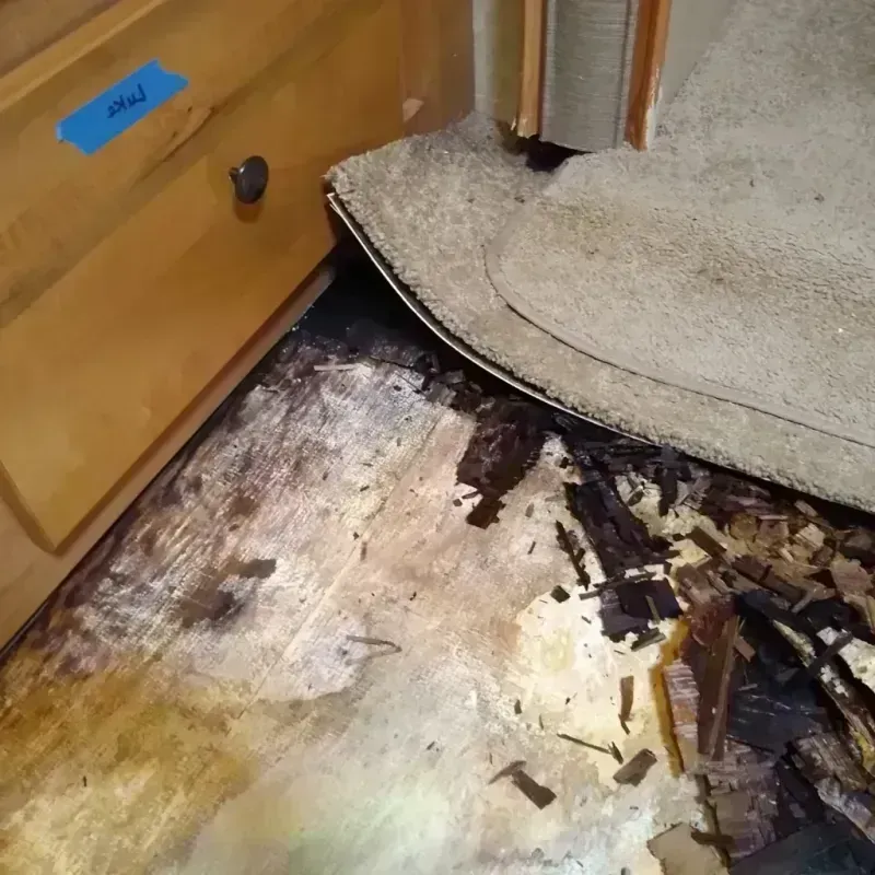 Wood Floor Water Damage in Yuba City, CA